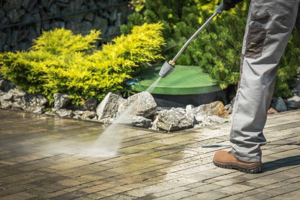 Best Pre-Holiday Cleaning  in Pilot Point, TX